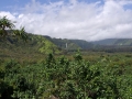 Wailua valley