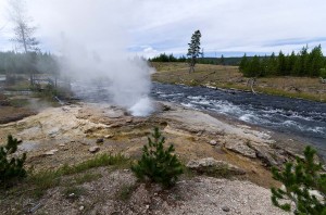 Along the Artimisia Trail