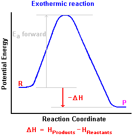 Example Of Exothermic