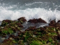 Surf at Hookipa beach