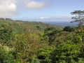 Looking out over the Pacific Ocean from the Hana highway