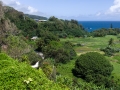 Taro patches, Keanae Overlook